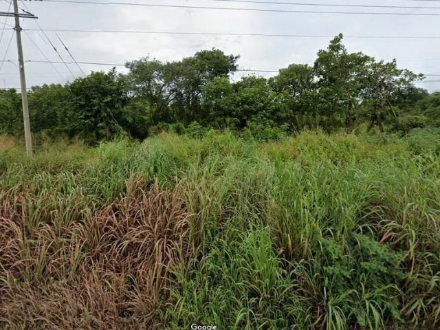 Terreno en Venta, sobre carretera El Jobo Suchiapa, Km. 8.5 a super precio!