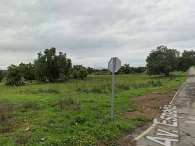 TERRENO EN VENTA SOBRE CARRETERA EN ZEMPOALA,HGO