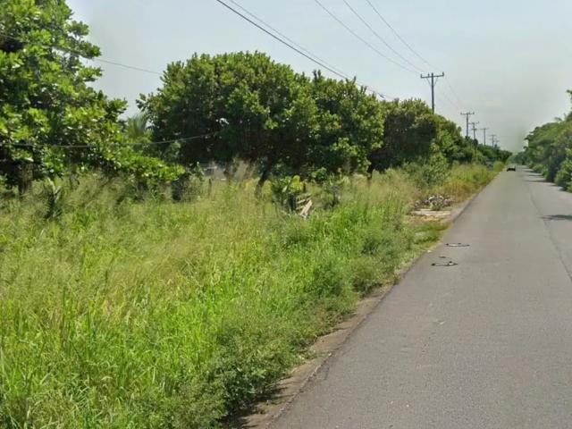 Terreno en venta sobre carretera en el Zapote Veracruz 8.7 hectáreas