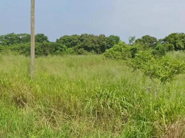 Terreno en venta sobre carretera en el Zapote Veracruz 8.7 hectáreas