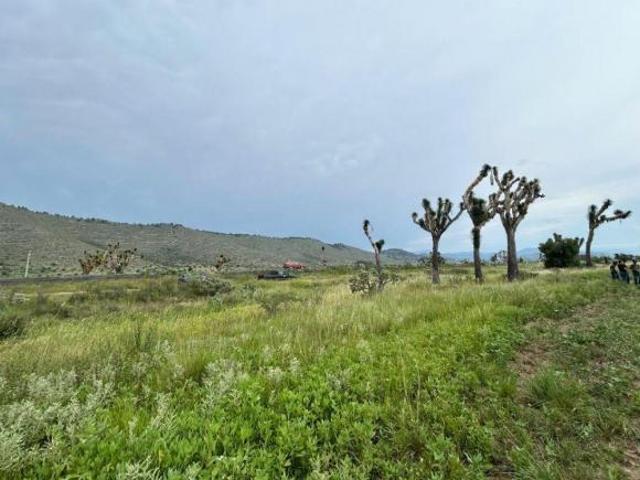Terreno en VENTA sobre Carretera Huachichil