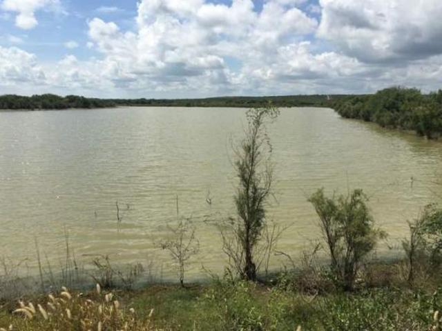 Terreno en venta sobre Carretera libre a Reynosa, de 600 hectáreas.