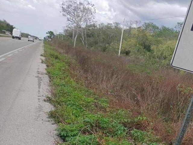 Terreno en venta sobre carretera Mérida–Cancún
