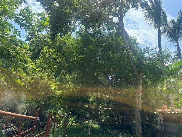 Terreno en venta sobre carretera Punta de Mita–Sayulita