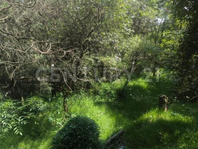 Terreno en Venta sobre Desierto de los Leones, San Bartolo Ameyalco