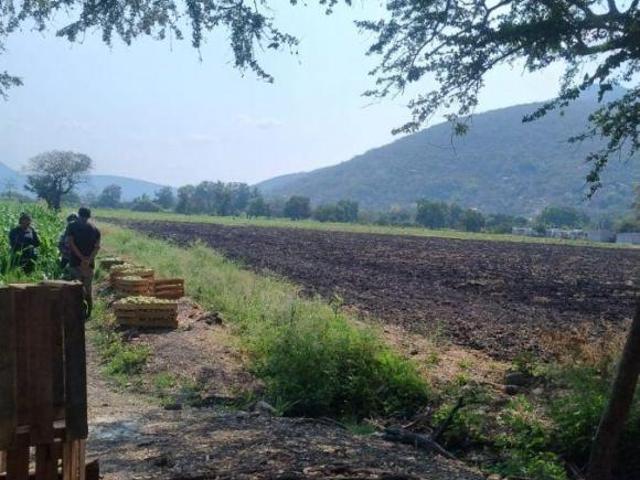 Terreno en venta sobre la carretera Jojutla – Alta Vista