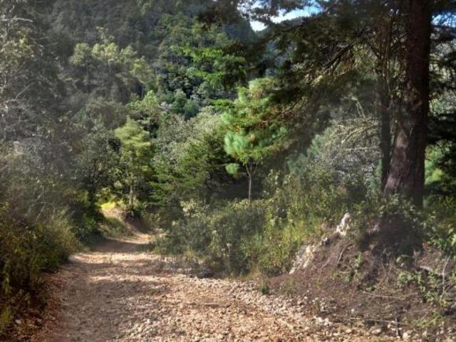 TERRENO EN VENTA,SOBRE LAS MONTAÑAS