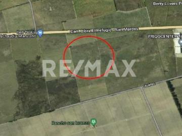 TERRENO EN VENTA TALA, JAL 4