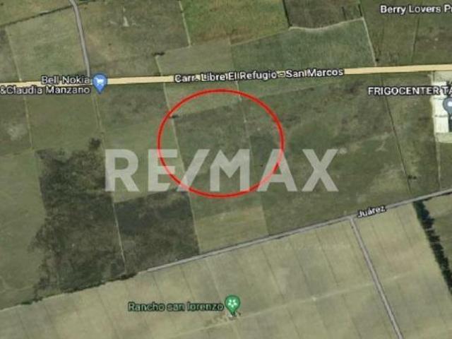 TERRENO EN VENTA TALA, JAL 4