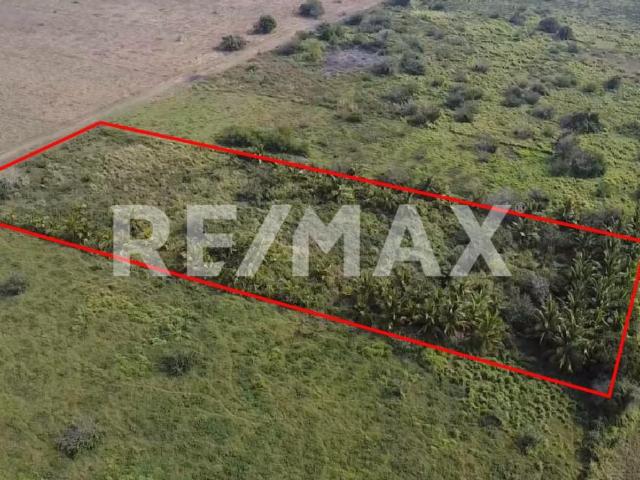 TERRENO EN VENTA Tampico Alto