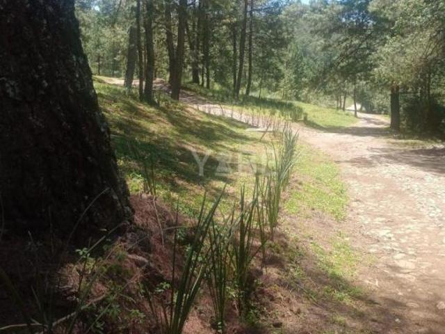 Terreno en venta Tapalpa