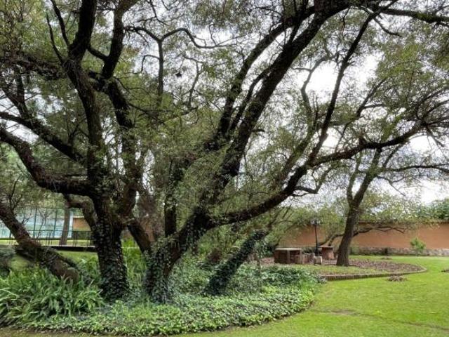 Terreno en Venta – Tapalpa, Jalisco