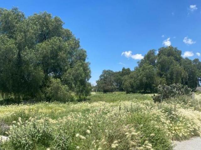 Terreno en Venta Teotihuacán