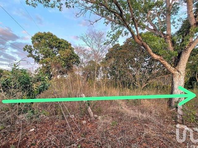 TERRENO EN VENTA, TENABO CAMPECHE