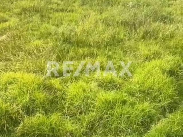 Terreno en Venta, Tenango del Valle, Estado de México. 4