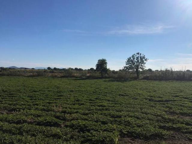 TERRENO EN VENTA TENEXTEPEC ATLIXCO