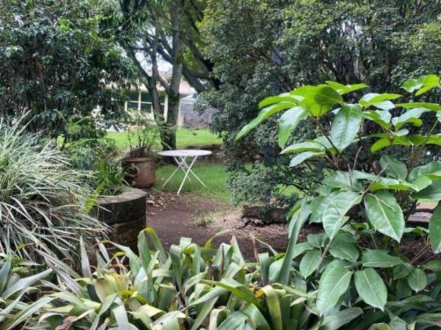 TERRENO EN VENTA TEPOZTLAN