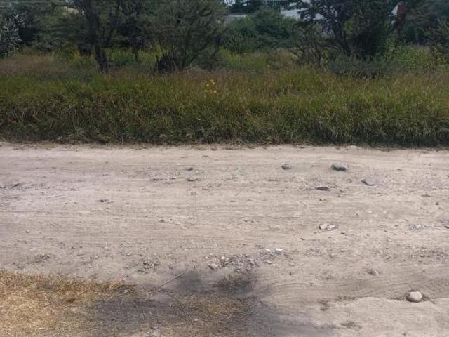 TERRENO EN VENTA TEQUISQUIAPAN, EL SAUZ SUP. 250 m2 ESCRITURADO