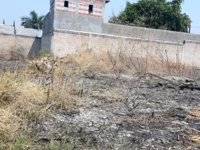 Terreno en Venta, Tetelcingo OCT 177