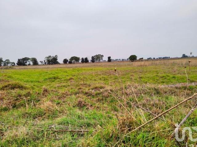 TERRENO EN VENTA TEXCOCO CERCA DEL AEROPUERTO CDMX