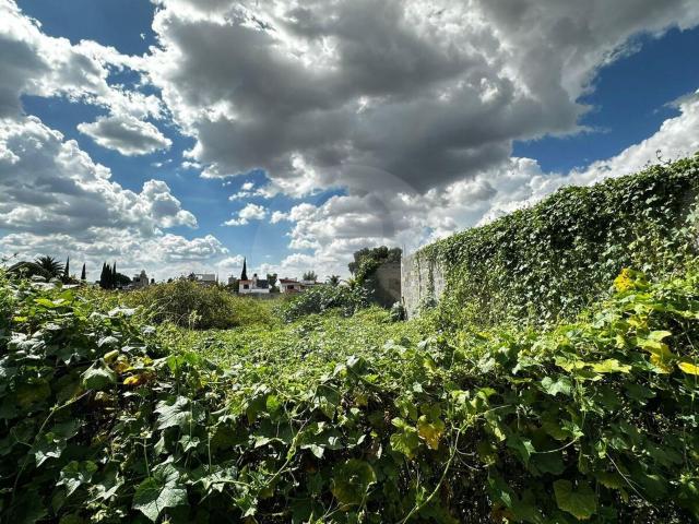 TERRENO EN VENTA TEZOYUCA