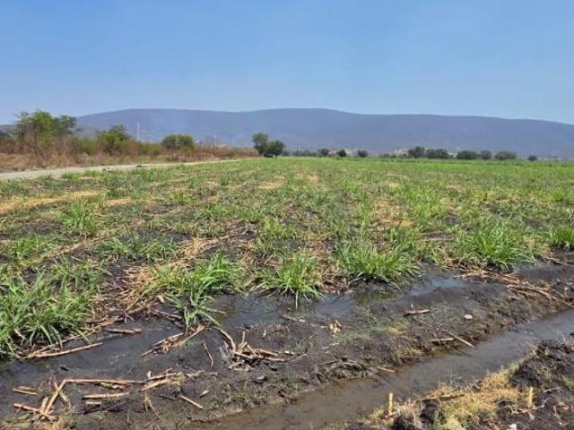Terreno en venta Tlaquiltenango, Morelos
