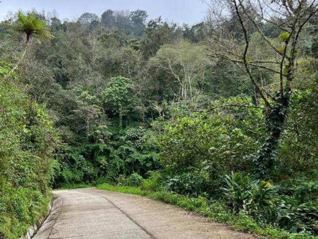 Terreno en Venta Tlatlauquitepec, Puebla