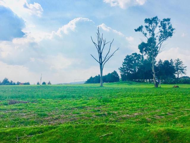 TERRENO EN VENTA TOLUCA
