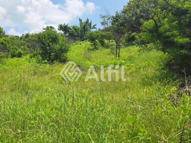 Terreno en Venta Tonalá Para Desarrollo Habitacional – La Alzada / La Calzada,