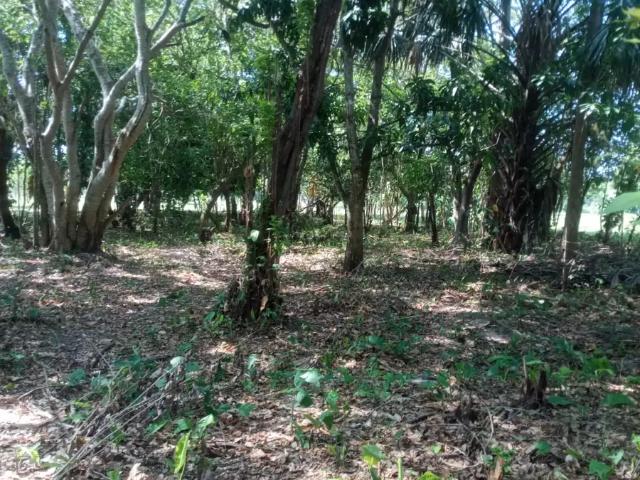 Terreno Residencial en Venta en Tierra Amarilla, Centro, Tabasco