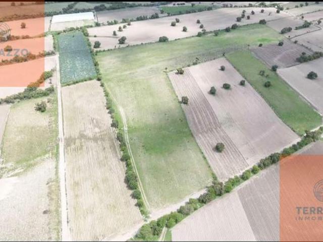 Terreno en venta ubicado en Palmar de Bravo, Puebla