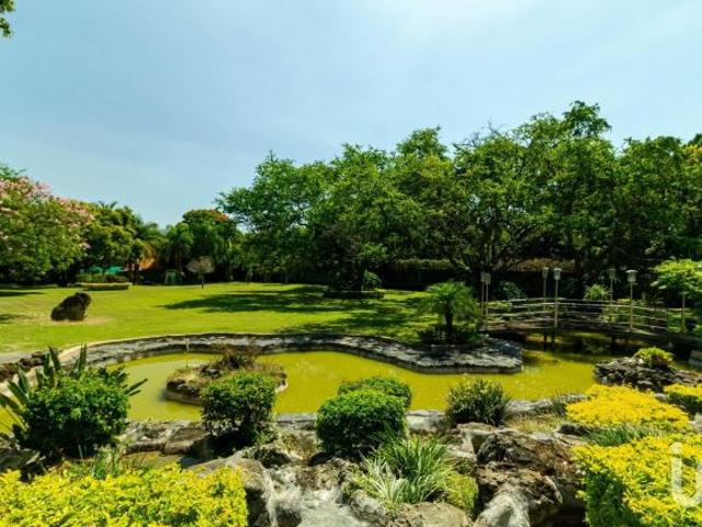 TERRENO EN VENTA USO DE SUELO COMERCIAL Y HABITACIONAL JIUTEPEC MORELOS