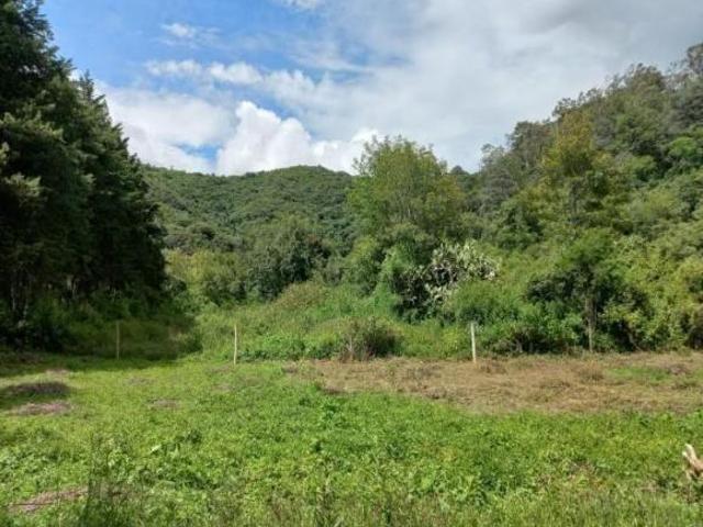 TERRENO EN VENTA VALLE DE BRAVO
