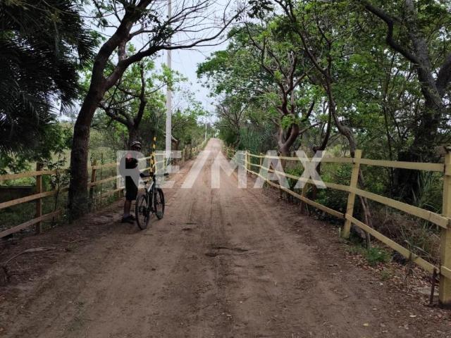 Terreno en venta Villa Cuauhtémoc, Ver