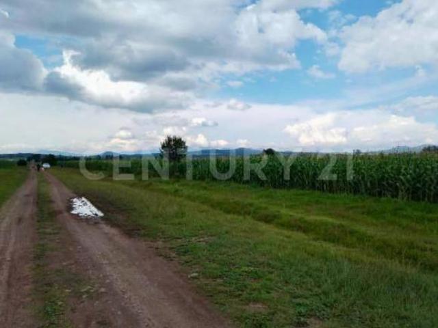 Terreno en venta, Xaltocan, Tlaxcala