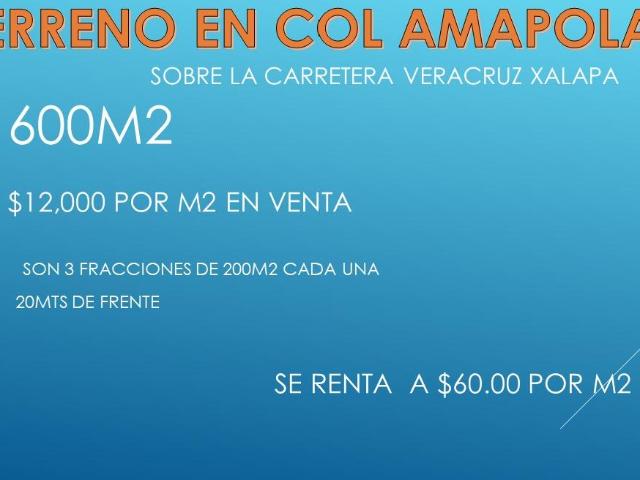 Terreno en venta y renta Col. Amapolas