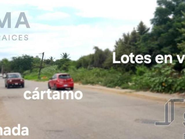 Terreno en Venta y Renta en Col. Simon Rivera, Madero Tamaulipas