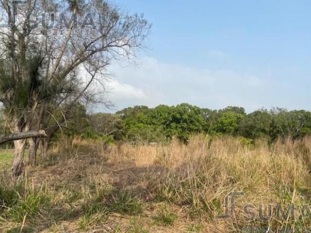 Terreno en Venta y Renta en Carretera Tampico Tuxpan, Pueblo Viejo Veracruz