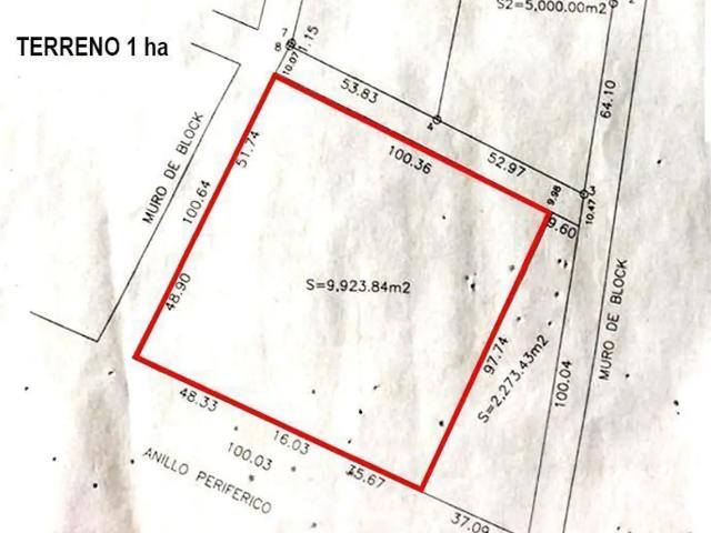 Terreno en Venta y Renta en Santa Gertrudis Copó