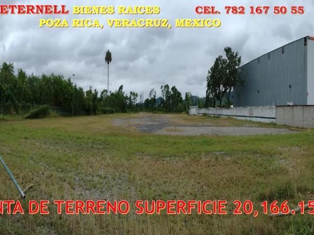Terreno en venta y renta en Palma Sola, Poza Rica de Hidalgo, Veracruz de Ignacio de la Llave