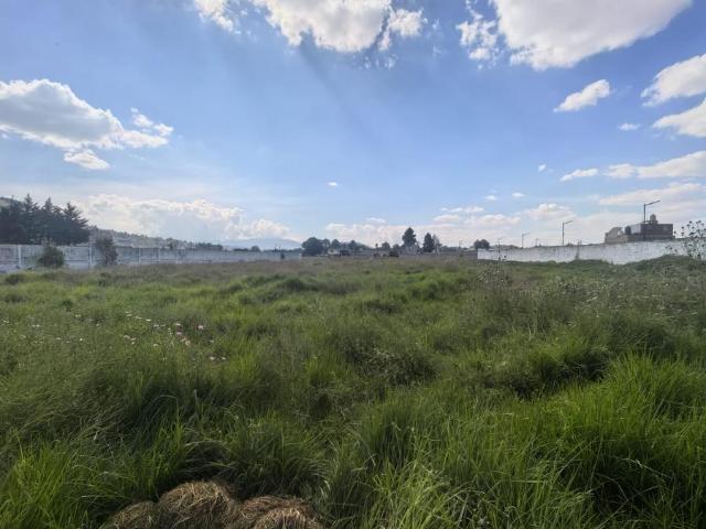 Terreno en Venta y Renta, Palmillas, Toluca, M?xico