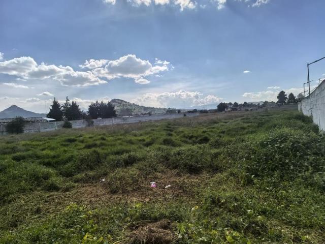 Terreno en Venta y Renta, Palmillas, Toluca, M?xico