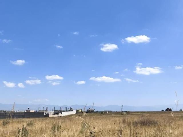 Terreno EN VENTA Y/O RENTA LA PALMA TOLTEPEC, TOLUCA
