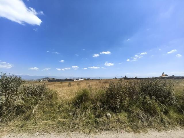 Terreno EN VENTA Y/O RENTA LA PALMA TOLTEPEC, TOLUCA