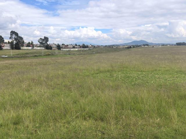 TERRENO EN VENTA y/o RENTA