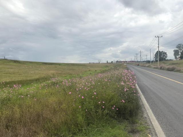TERRENO EN VENTA y/o RENTA