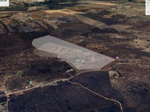 Terreno en Venta Zapotlanejo | 4 Ha Planas | Uso Industrial o Habitacional