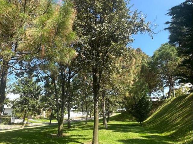 Terreno en Venta Zapopan Coto El Alcazar Av. Juan Palomar y Arias