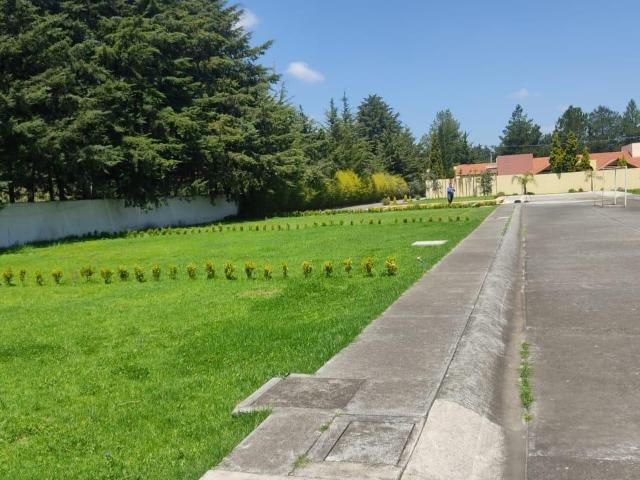 Terreno en venta ZINACANTEPEC