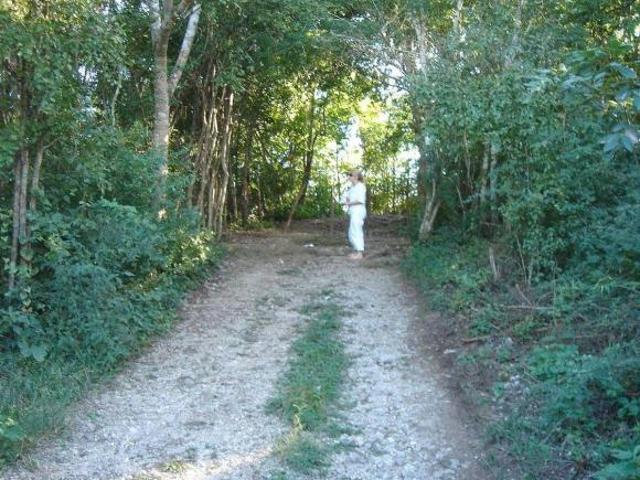 Terreno en Venta zona CHICHEN ITZA, Mérida Yucatán